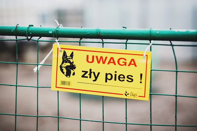 Uważaj na psa! Żółty znak ostrzegawczy na zielonym płocie.