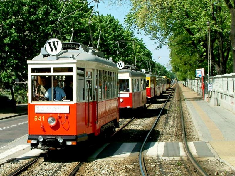 Zabytkowe tramwaje o numerze 541 na ulicy obsadzonej drzewami.