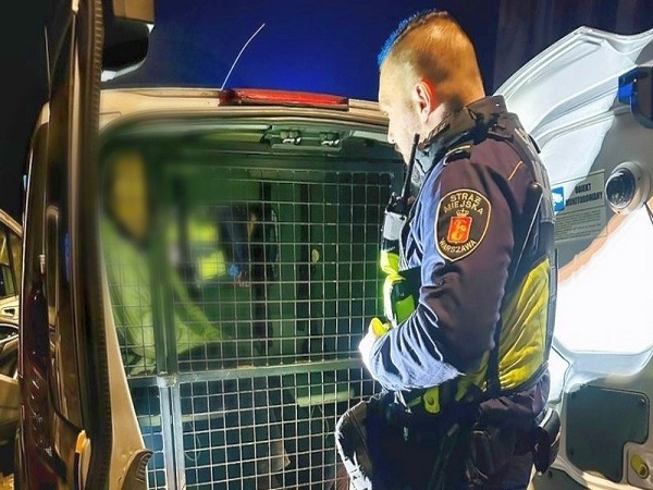 Funkcjonariusz Straży Miejskiej Warszawy z zatrzymanym w radiowozie