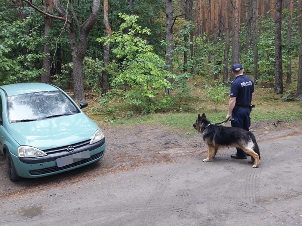 Policjant z oddziałem K9 badający samochód w lesie