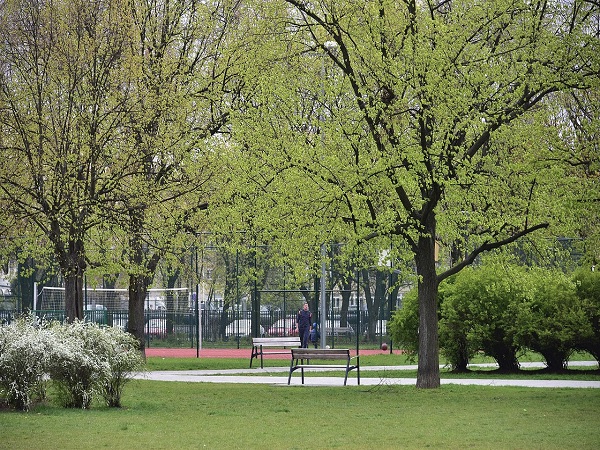 Park wiosenny z ławkami, drzewami i boiskiem do koszykówki