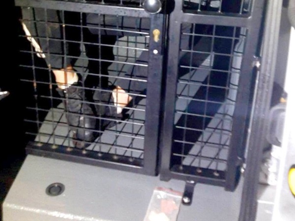 Nogi i stopy człowieka w metalowej klatce dla psa.