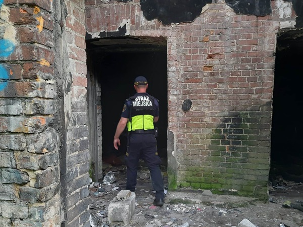 Straż miejska inspekcjonuje opuszczony ceglany budynek. Na mundurze widoczna jest „Straż Miejska”.