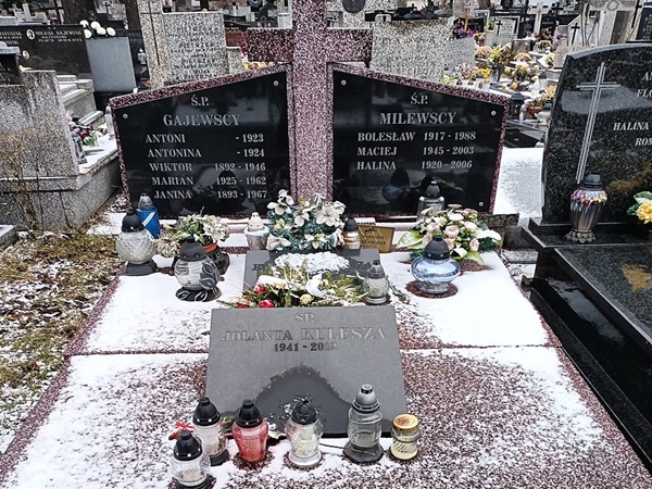 Zaśnieżony grób z nagrobkami rodzin Gajewskich i Milewskich, wraz z datami urodzenia i śmierci.