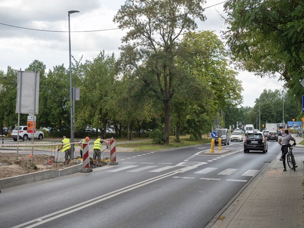 Robotnicy drogowi naprawiają przejście dla pieszych w pobliżu ulicy obsadzonej drzewami.