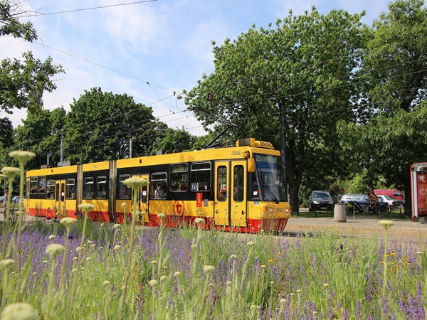 Żółty tramwaj przejeżdżający przez miejski park pełen kwiatów