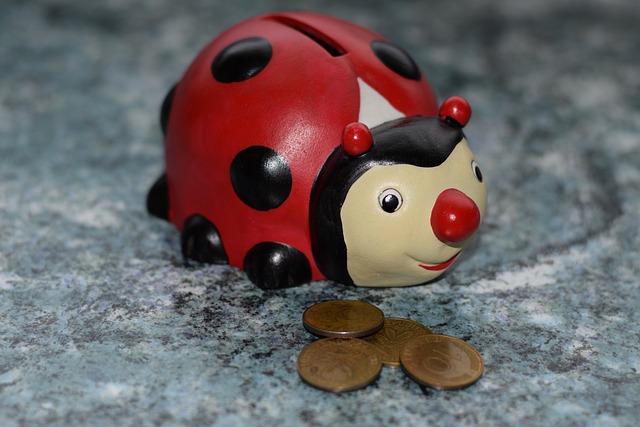 Skarbonka biedronka z monetami; oszczędzanie pieniędzy, cele finansowe