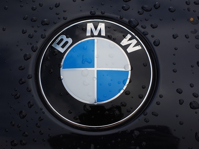 Logo BMW na czarnym samochodzie, mokrym od deszczu.