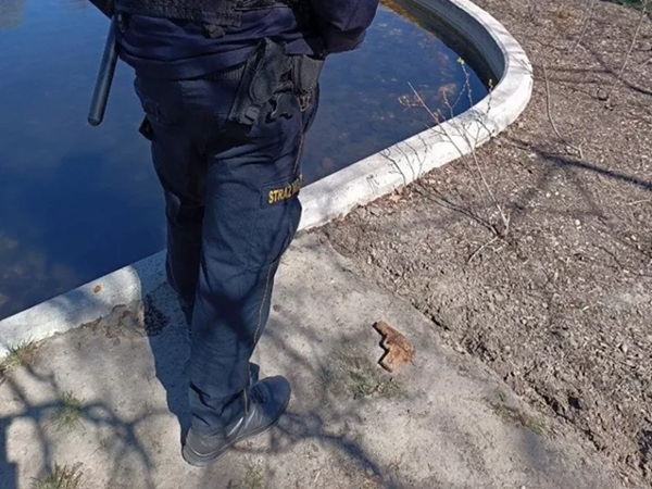 Policjant badający miejsce zbrodni w pobliżu stawu. Widoczna jest możliwa broń.