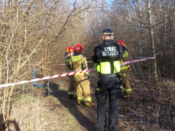 Strażacy i policja miejska na zalesionym miejscu zbrodni, zabezpieczeni taśmą ostrzegawczą. Na mundurze funkcjonariusza widoczny napis „Straż Miejska”.