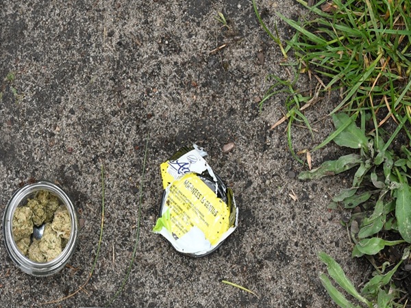 Marihuana i porzucone opakowania po jedzeniu na ziemi. Możliwe dowody handlu narkotykami w lesie mazowieckim.