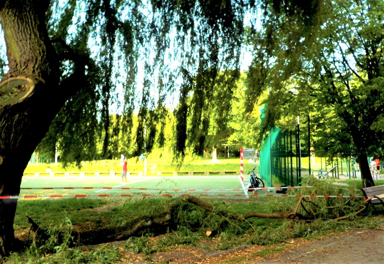 Złamana gałąź drzewa w parku w pobliżu placu zabaw, czerwona taśma ostrzegawcza.