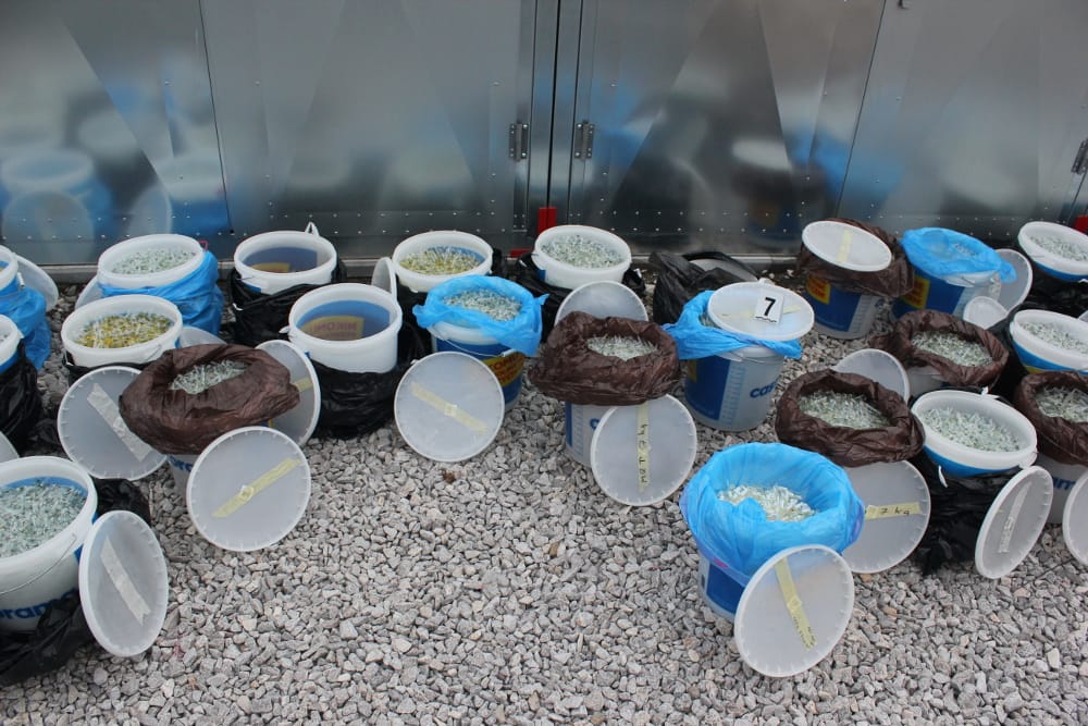 Wiadra skonfiskowanych narkotyków, oznakowane i zapakowane jako dowód. Obława na narkotyki, dochodzenie w sprawie narkotyków.