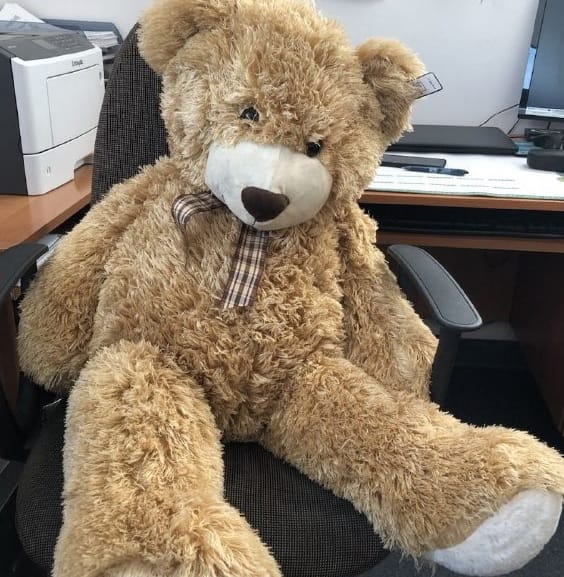 Duży, puszysty brązowy miś siedzący na krześle biurowym.