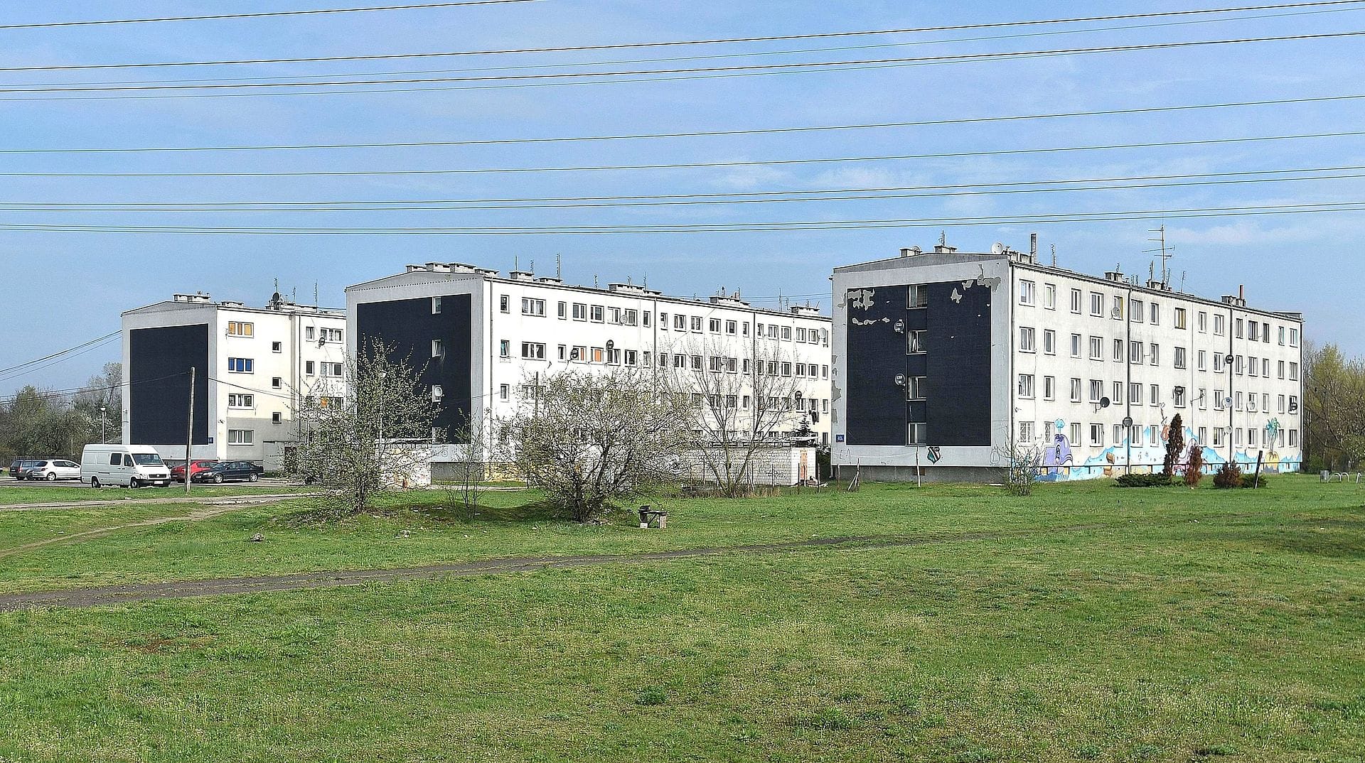 Trzy budynki mieszkalne z czarno-białymi fasadami, położone na trawiastym terenie.