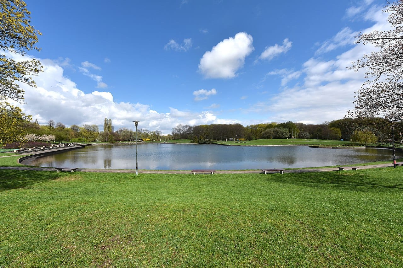 Spokojny staw parkowy z ławkami pod błękitnym niebem