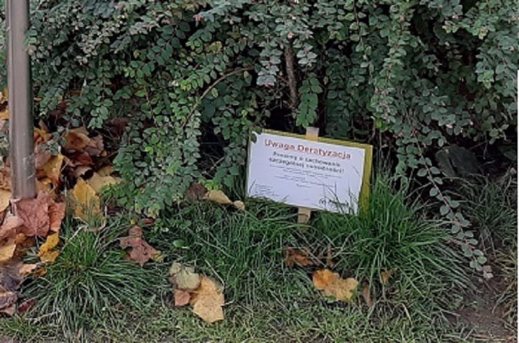 Polski znak ostrzegający o zwalczaniu gryzoni w pobliżu krzewów. „Uwaga Deratyzacja