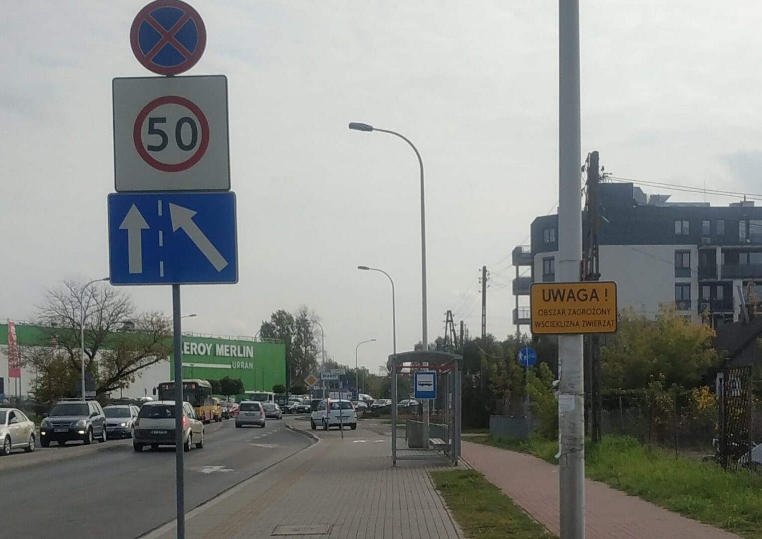 Polska ulica ze znakiem ograniczenia prędkości, zakazu parkowania i ostrzeżeniem o zwierzętach przechodzących przez jezdnię.