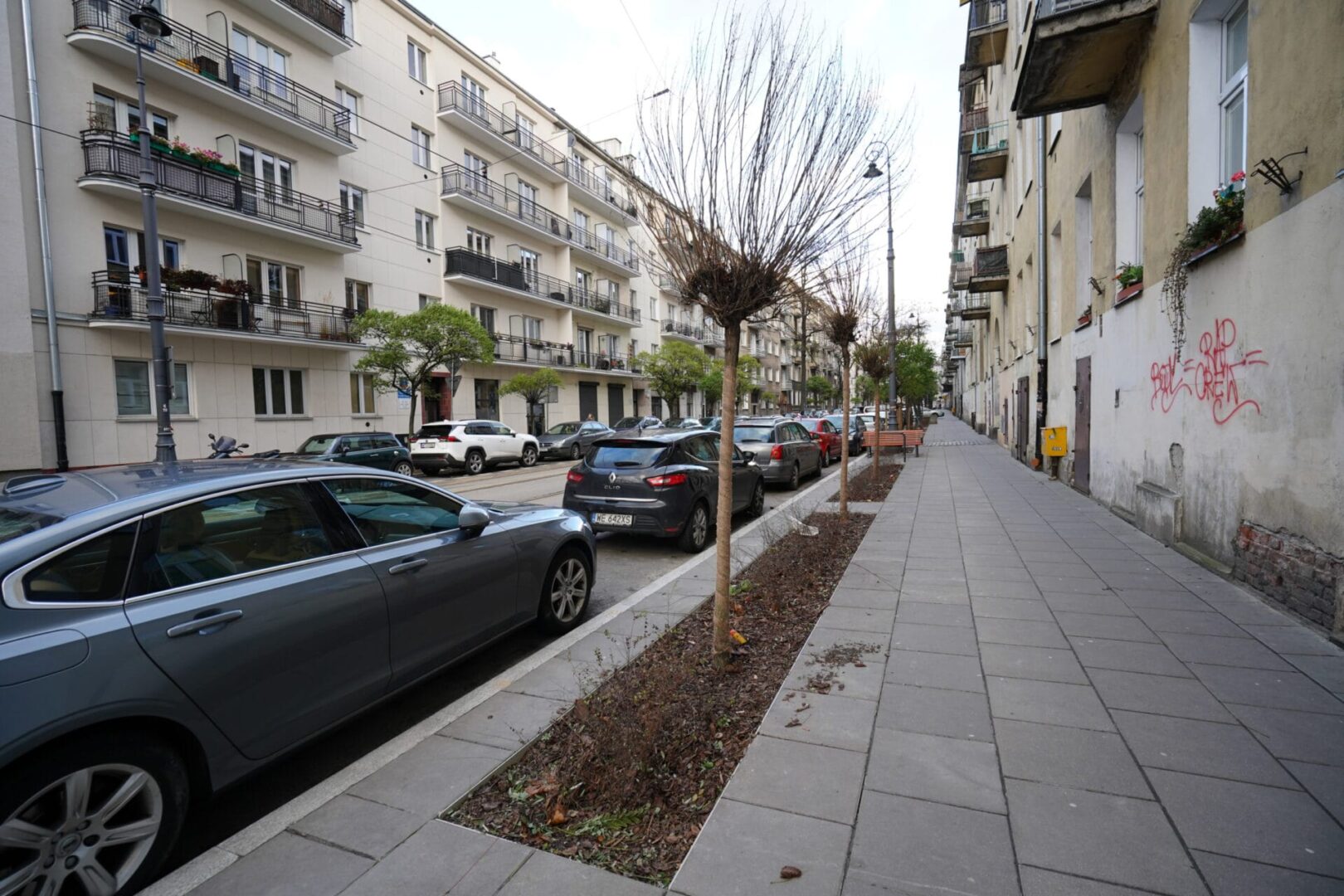 Samochody zaparkowane wzdłuż miejskiej ulicy otoczonej drzewami i budynkami mieszkalnymi.